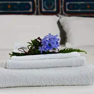 https://buon-consiglio-bb.lecce-hotels.com